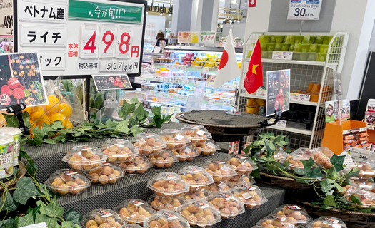 Vải tươi Việt Nam lần đầu tiên lên kệ bày bán tại siêu thị ở Nhật Bản